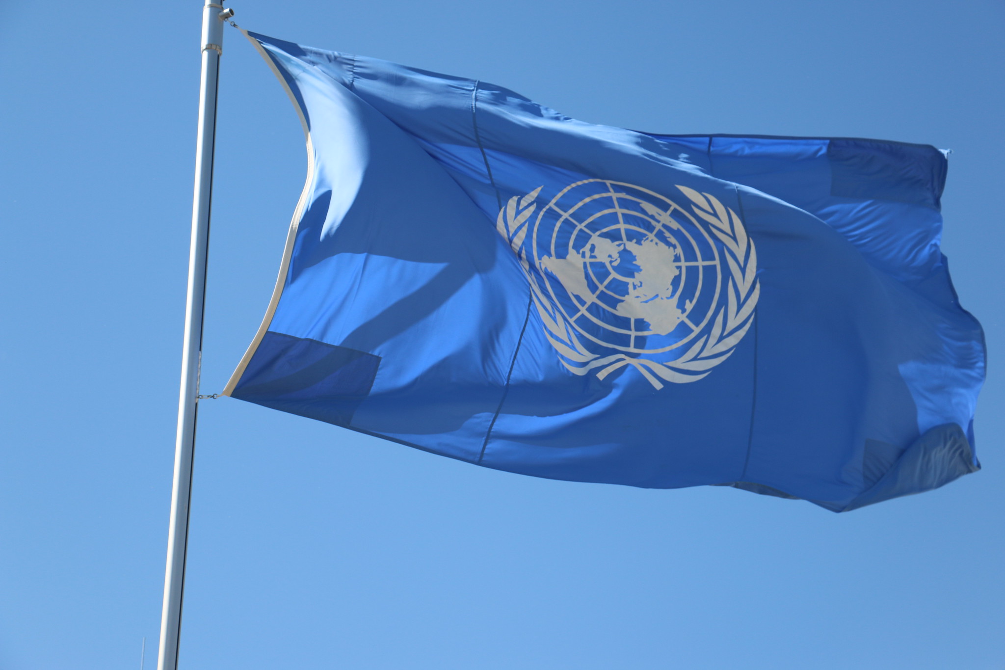 Bandera de la ONU